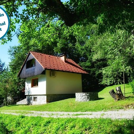 Vila Forest House Vrhnika Exteriér fotografie