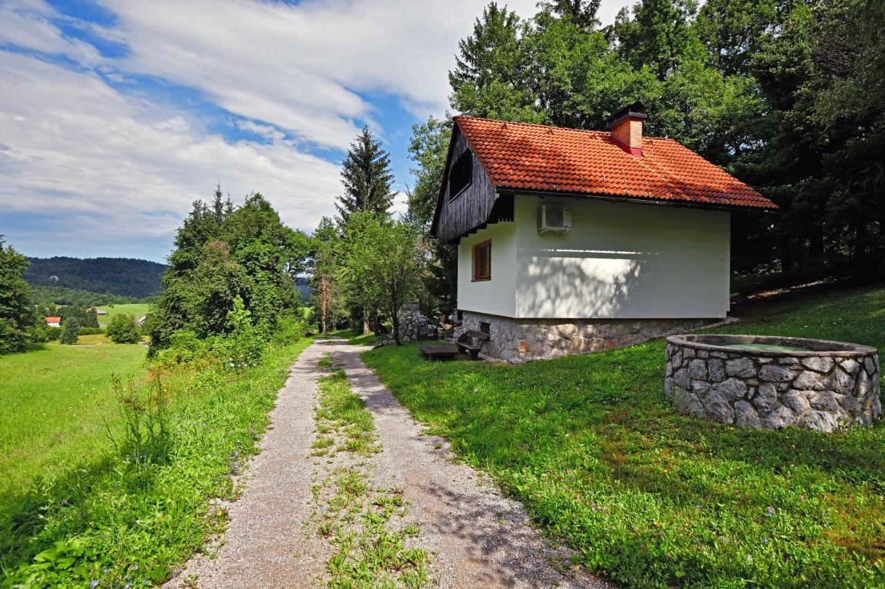 Vila Forest House Vrhnika Exteriér fotografie