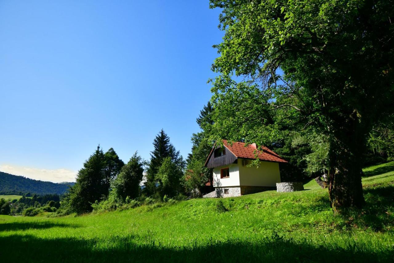 Vila Forest House Vrhnika Exteriér fotografie